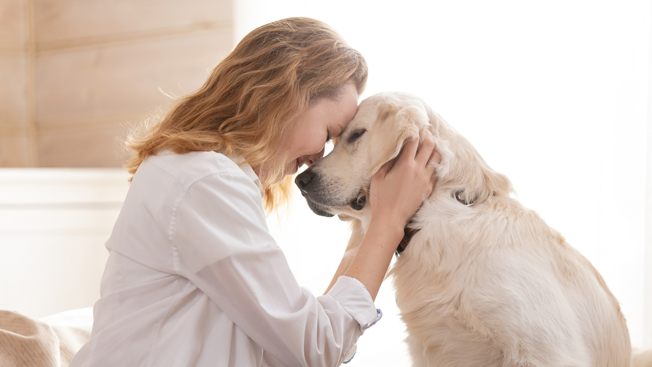 Pet Poison Prevention Month